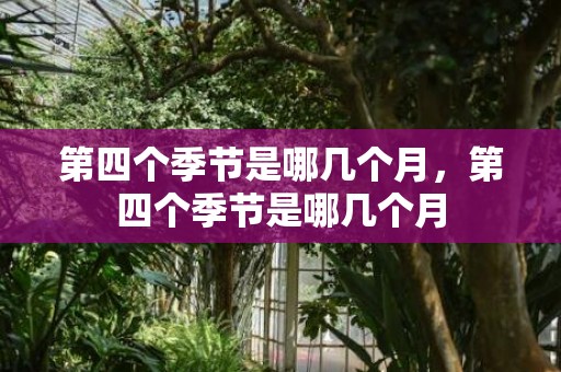 第四个季节是哪几个月，第四个季节是哪几个月