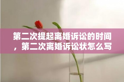 第二次提起离婚诉讼的时间，第二次离婚诉讼状怎么写