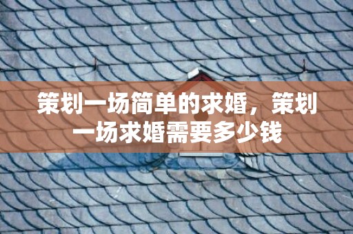 策划一场简单的求婚，策划一场求婚需要多少钱