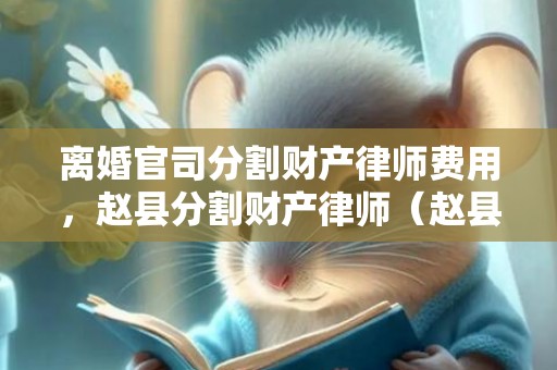 离婚官司分割财产律师费用，赵县分割财产律师（赵县律师事务所）
