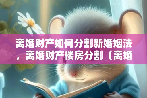 离婚财产如何分割新婚姻法，离婚财产楼房分割（离婚 房产怎么分割）