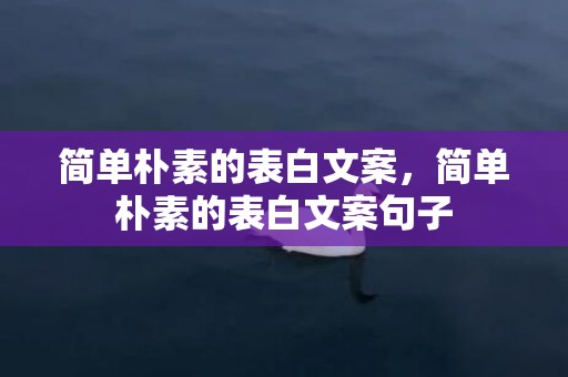 简单朴素的表白文案，简单朴素的表白文案句子