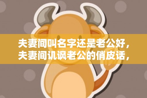 夫妻间叫名字还是老公好，夫妻间讥讽老公的俏皮话，风趣幽默的聊天方法
