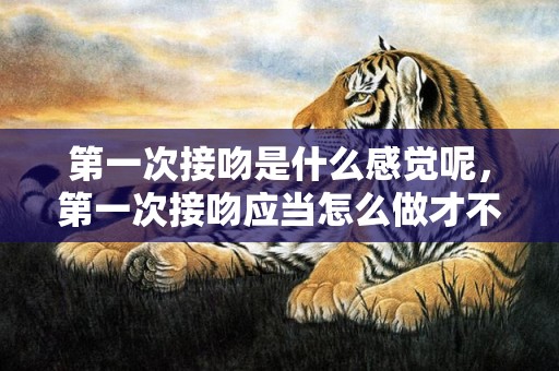 第一次接吻是什么感觉呢，第一次接吻应当怎么做才不会为难，最舒畅的接吻方式