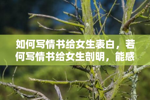 如何写情书给女生表白，若何写情书给女生剖明，能感动人的情书内容