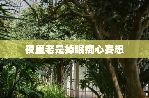 夜里老是掉眠痴心妄想
