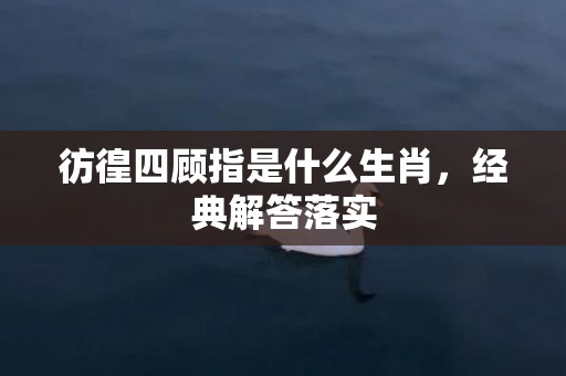 彷徨四顾指是什么生肖，经典解答落实