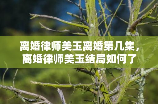 离婚律师美玉离婚第几集，离婚律师美玉结局如何了