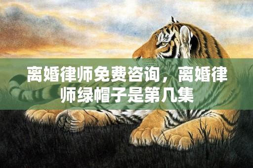 离婚律师免费咨询，离婚律师绿帽子是第几集