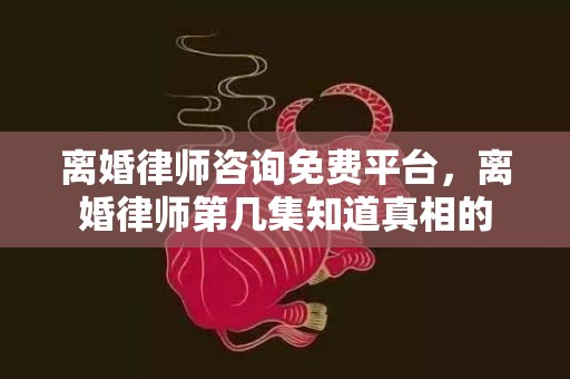 离婚律师咨询免费平台，离婚律师第几集知道真相的