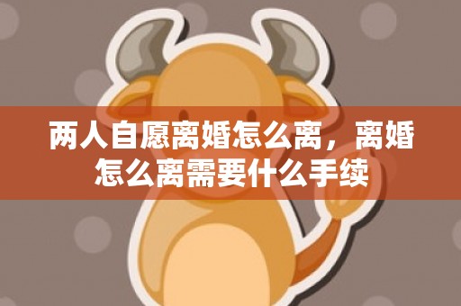两人自愿离婚怎么离，离婚怎么离需要什么手续