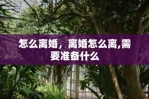 怎么离婚，离婚怎么离,需要准备什么