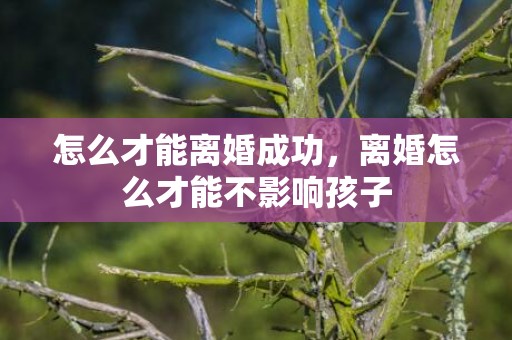 怎么才能离婚成功，离婚怎么才能不影响孩子
