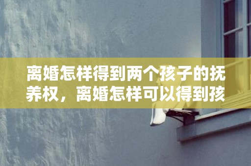 离婚怎样得到两个孩子的抚养权，离婚怎样可以得到孩子