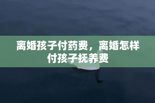 离婚孩子付药费，离婚怎样付孩子抚养费