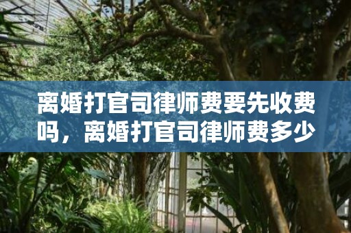 离婚打官司律师费要先收费吗，离婚打官司律师费多少钱