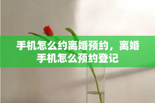手机怎么约离婚预约，离婚手机怎么预约登记