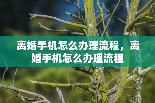 离婚手机怎么办理流程，离婚手机怎么办理流程