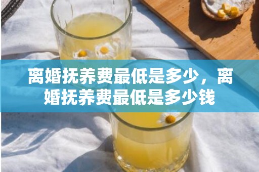 离婚抚养费最低是多少，离婚抚养费最低是多少钱