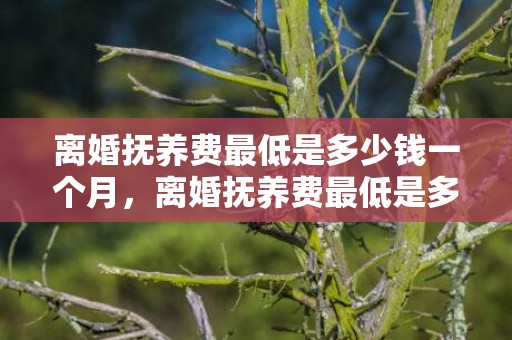 离婚抚养费最低是多少钱一个月，离婚抚养费最低是多少元