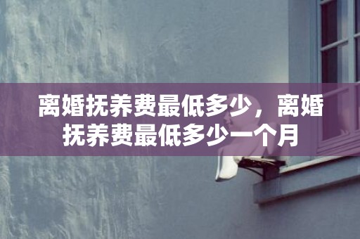 离婚抚养费最低多少，离婚抚养费最低多少一个月