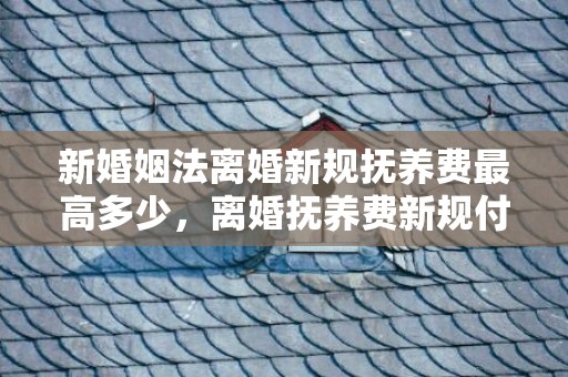 新婚姻法离婚新规抚养费最高多少，离婚抚养费新规付到多少岁