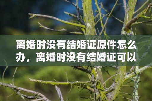 离婚时没有结婚证原件怎么办，离婚时没有结婚证可以吗