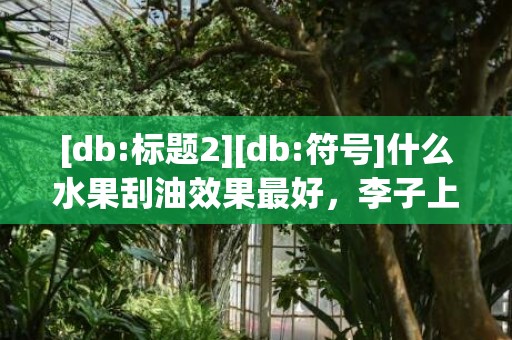 [db:标题2][db:符号]什么水果刮油效果最好，李子上火吗