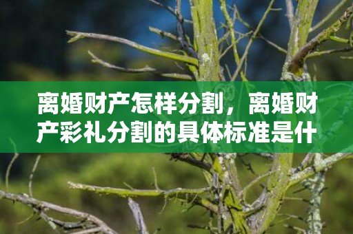 离婚财产怎样分割，离婚财产彩礼分割的具体标准是什么？