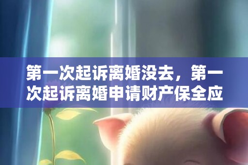 第一次起诉离婚没去，第一次起诉离婚申请财产保全应该怎么做