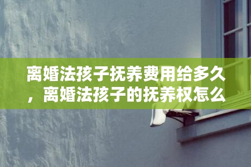 离婚法孩子抚养费用给多久，离婚法孩子的抚养权怎么判