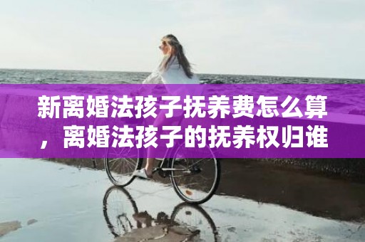 新离婚法孩子抚养费怎么算，离婚法孩子的抚养权归谁