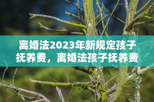 离婚法2023年新规定孩子抚养费，离婚法孩子抚养费用给多久