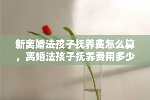 新离婚法孩子抚养费怎么算，离婚法孩子抚养费用多少