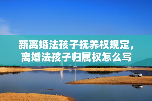 新离婚法孩子抚养权规定，离婚法孩子归属权怎么写