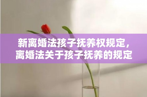 新离婚法孩子抚养权规定，离婚法关于孩子抚养的规定