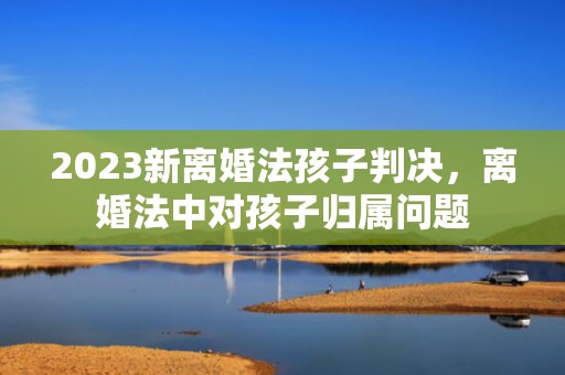 2023新离婚法孩子判决，离婚法中对孩子归属问题