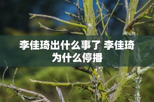 李佳琦出什么事了 李佳琦为什么停播