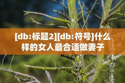 [db:标题2][db:符号]什么样的女人最合适做妻子