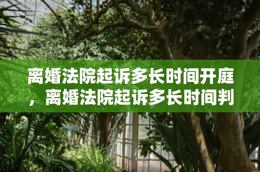 离婚法院起诉多长时间开庭，离婚法院起诉多长时间判离