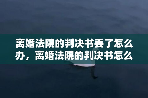 离婚法院的判决书丢了怎么办，离婚法院的判决书怎么查
