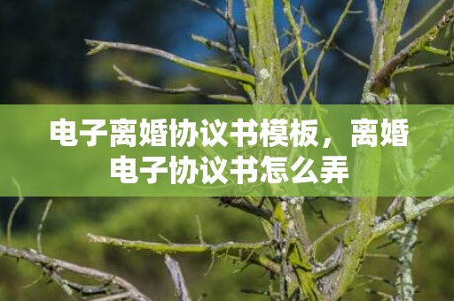电子离婚协议书模板，离婚电子协议书怎么弄