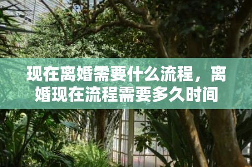 现在离婚需要什么流程，离婚现在流程需要多久时间