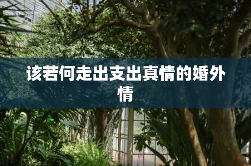 该若何走出支出真情的婚外情