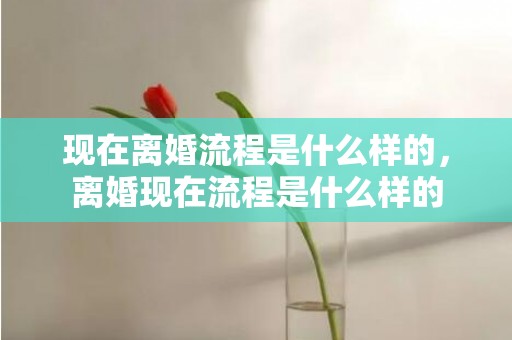 现在离婚流程是什么样的，离婚现在流程是什么样的