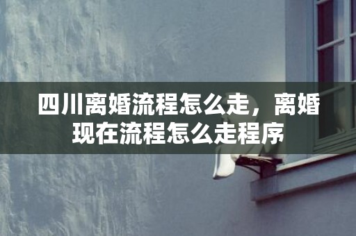 四川离婚流程怎么走，离婚现在流程怎么走程序