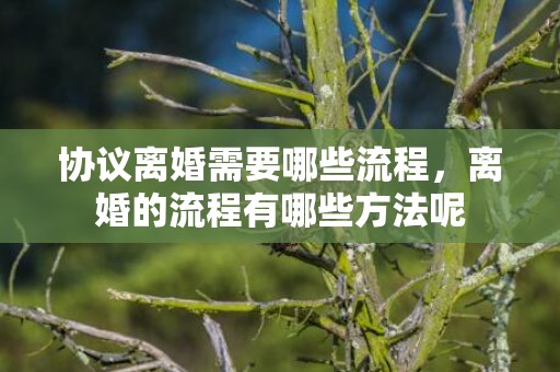 协议离婚需要哪些流程，离婚的流程有哪些方法呢