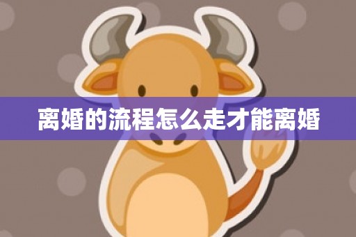离婚的流程怎么走才能离婚