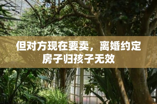 但对方现在要卖，离婚约定房子归孩子无效