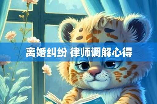 离婚纠纷 律师调解心得